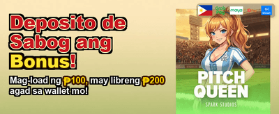 Premium Casino Gaming Experience